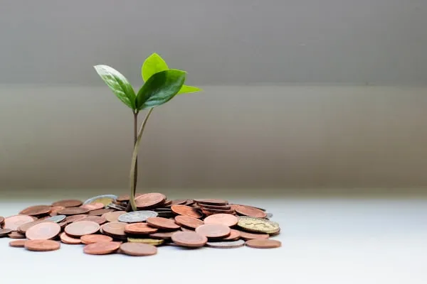 Build Emergency Funds